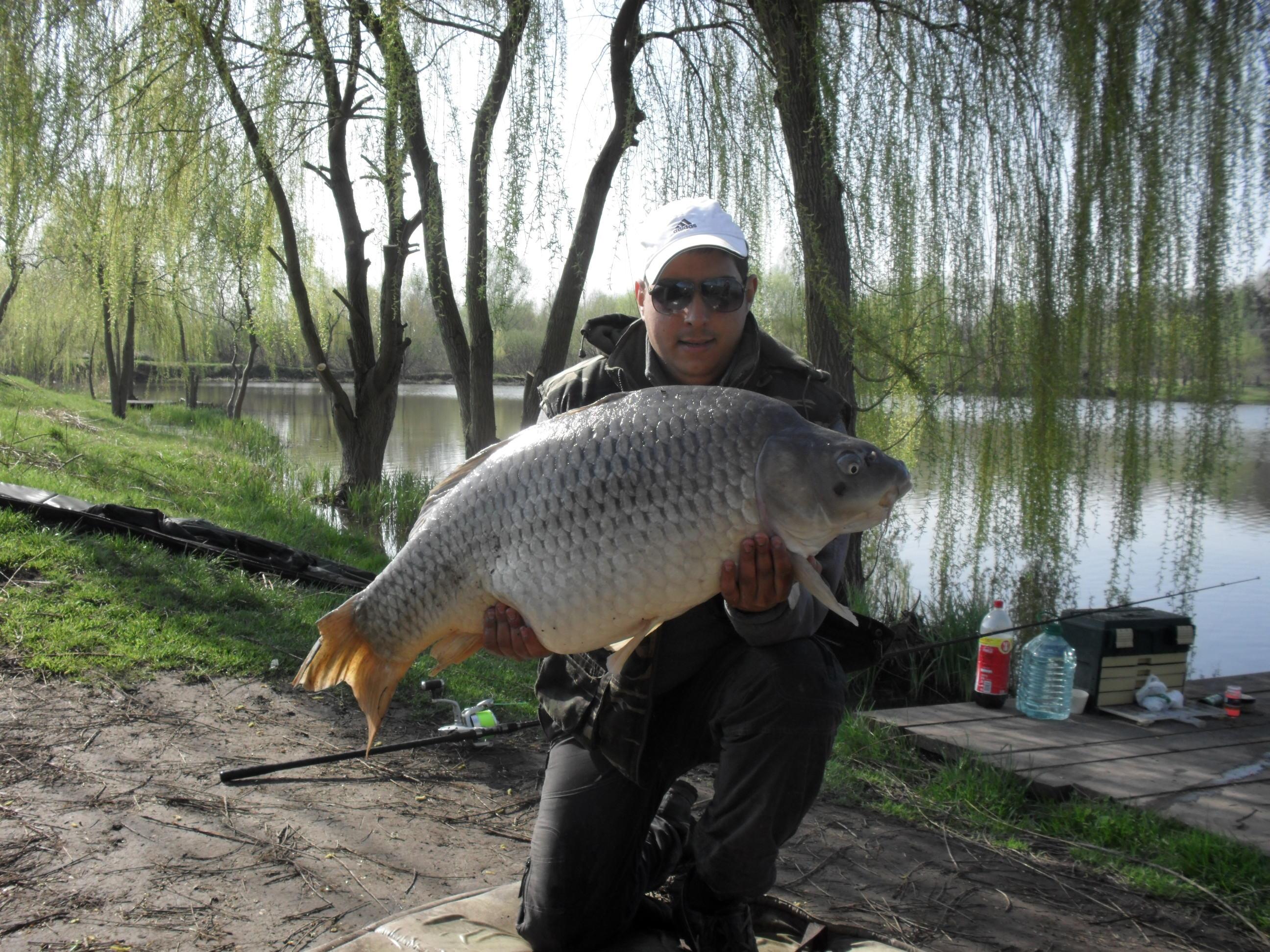 Palic 2012 primavara - SAM_0619.JPG